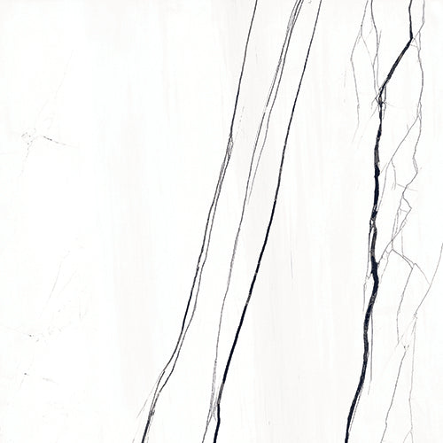 RAK Venato Marble - White